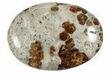 Polished Garnet In Wollastonite Palm Stone - Namibia #343953-1